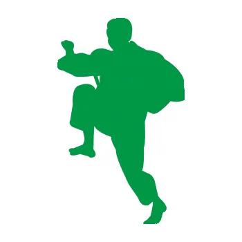 Polep vozidla Karate 007 levá (12 - zelená) SAMOLEPKA NA AUTO, NÁLEPKA, FÓLIE, POLEP, TUNING, VLASTNÍ TEXT, TISK, AUTOSAMOLEPKY.cz, POLEPY, OBRÁZEK, LOGO, 3D STICKERS