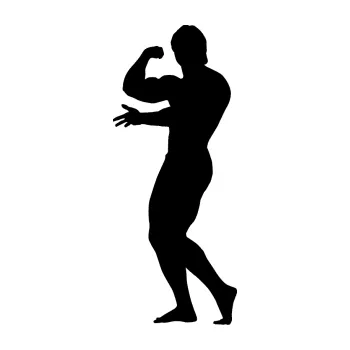 Polep vozidla Kulturista 001 levá (01 - černá) SAMOLEPKA NA AUTO, NÁLEPKA, FÓLIE, POLEP, TUNING, VLASTNÍ TEXT, TISK, AUTOSAMOLEPKY.cz, POLEPY, OBRÁZEK, LOGO, 3D STICKERS