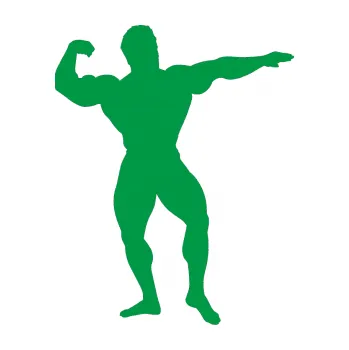 Polep vozidla Kulturista 013 pravá (12 - zelená) SAMOLEPKA NA AUTO, NÁLEPKA, FÓLIE, POLEP, TUNING, VLASTNÍ TEXT, TISK, AUTOSAMOLEPKY.cz, POLEPY, OBRÁZEK, LOGO, 3D STICKERS