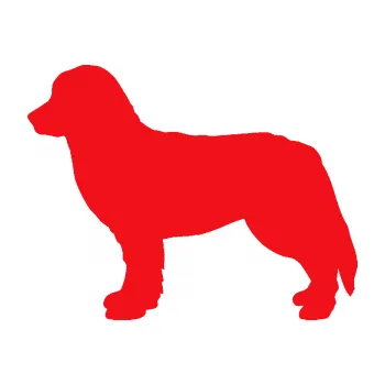 Polep vozidla SAMOLEPKA Pes 157 levá bernský salašnický (10 - červená) NA AUTO, NÁLEPKA, FÓLIE, POLEP, TUNING, VLASTNÍ TEXT, TISK, AUTOSAMOLEPKY.cz, POLEPY, OBRÁZEK, LOGO, SAMOLEPKY