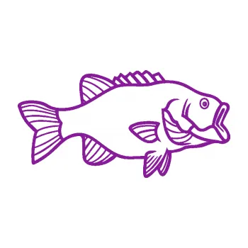 Polep vozidla SAMOLEPKA Ryba 015 pravá (14 - fialová) NA AUTO, NÁLEPKA, FÓLIE, POLEP, TUNING, VLASTNÍ TEXT, TISK, AUTOSAMOLEPKY.cz, POLEPY, OBRÁZEK, LOGO, SAMOLEPKY