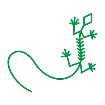 Samolepící dekorace Ještěrka 007 pravá (12 - zelená) SAMOLEPKA NA AUTO, NÁLEPKA, FÓLIE, POLEP, TUNING, VLASTNÍ TEXT, TISK, AUTOSAMOLEPKY.cz, POLEPY, OBRÁZEK, LOGO, 3D STICKERS