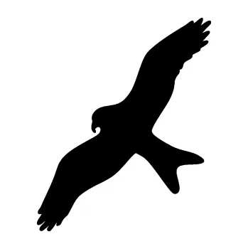 Samolepící dekorace SAMOLEPKA Dravec na sklo 002 levá (01 - černá) NA AUTO, NÁLEPKA, FÓLIE, POLEP, TUNING, VLASTNÍ TEXT, TISK, AUTOSAMOLEPKY.cz, POLEPY, OBRÁZEK, LOGO, SAMOLEPKY