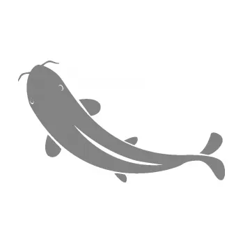 Polep vozidla SAMOLEPKA Ryba 001 levá (17 - šedá) NA AUTO, NÁLEPKA, FÓLIE, POLEP, TUNING, VLASTNÍ TEXT, TISK, AUTOSAMOLEPKY.cz, POLEPY, OBRÁZEK, LOGO, SAMOLEPKY