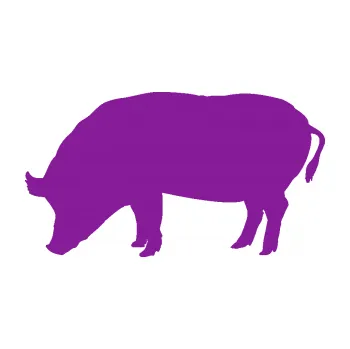Samolepící dekorace Prase 004 levá (14 - fialová) SAMOLEPKA NA AUTO, NÁLEPKA, FÓLIE, POLEP, TUNING, VLASTNÍ TEXT, TISK, AUTOSAMOLEPKY.cz, POLEPY, OBRÁZEK, LOGO, 3D STICKERS