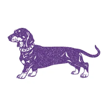 Polep vozidla SAMOLEPKA Pes 122 levá jezevčík (87 - Ultra Metalic fialová) NA AUTO, NÁLEPKA, FÓLIE, POLEP, TUNING, VLASTNÍ TEXT, TISK, AUTOSAMOLEPKY.cz, POLEPY, OBRÁZEK, LOGO, SAMOLEPKY