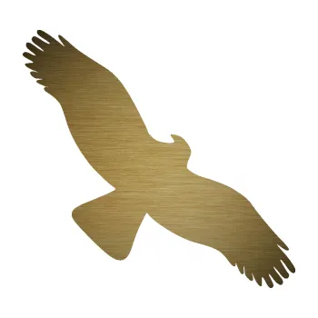 Samolepící dekorace Dravec na sklo 001 pravá (64 - škrábaný kov zlatý) SAMOLEPKA NA AUTO, NÁLEPKA, FÓLIE, POLEP, TUNING, VLASTNÍ TEXT, TISK, AUTOSAMOLEPKY.cz, POLEPY, OBRÁZEK, LOGO, 3D STICKERS