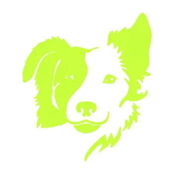 Polep vozidla Pes 099 pravá Border kolie (27 - limetová) SAMOLEPKA NA AUTO, NÁLEPKA, FÓLIE, POLEP, TUNING, VLASTNÍ TEXT, TISK, AUTOSAMOLEPKY.cz, POLEPY, OBRÁZEK, LOGO, 3D STICKERS