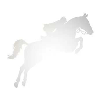 Samolepící dekorace SAMOLEPKA Kůň 076 pravá parkur (82 - odrazková reflexní bílá) NA AUTO, NÁLEPKA, FÓLIE, POLEP, TUNING, VLASTNÍ TEXT, TISK, AUTOSAMOLEPKY.cz, POLEPY, OBRÁZEK, LOGO, SAMOLEPKY