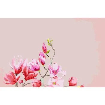Malování podle čísel - Magnolie Velikost: 40x60cm, Rámování: Pouze srolované plátno