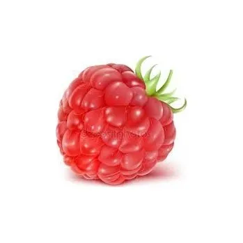 Ovocný džem od Sedmikrásky - Malina jednodruhové ovoce, bez přídavků jablek apod., poměr ovoce : cukr - 2:1, s přídavkem vitamínu C. 520 ml