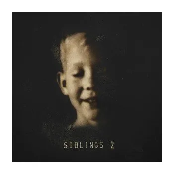 Zahraniční hudba Alex Somers : Siblings 2 LP