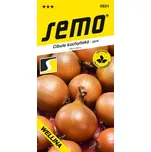 SEMO Wellina cibule kuchyňská jarní 2 g