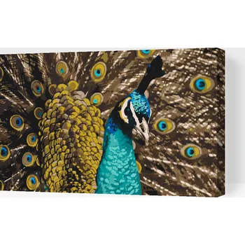 Malování podle čísel - Pyšný páv Velikost: 40x60cm, Rámování: Pouze srolované plátno