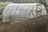 zahradní skleník Gutta Econom 4 x 3 m PC 4 mm