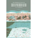 Skok do prázdného bazénu - Šira…