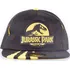 Kšiltovka Difuzed Snapback Cap Ripped Jurassic Park