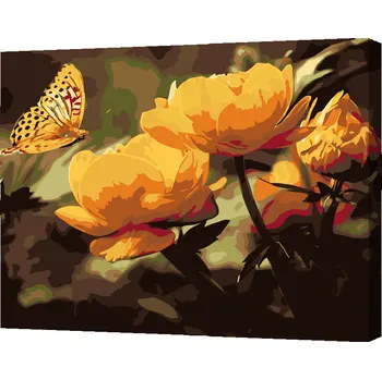 Malování podle čísel - Motýl s květy Velikost: 40x50cm, Rámování: Pouze srolované plátno