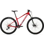 Rock Machine Blizz CRB 30 29" Gloss…