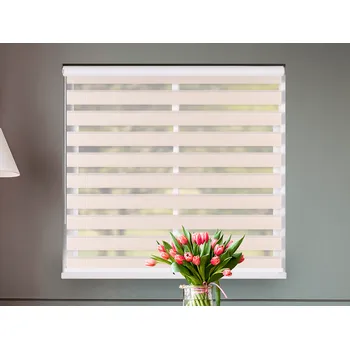 Roleta FEXI Zatemňovací Roleta Den a noc, Světlý rákos, B 001 v MAXI kazetě, 150x30 cm