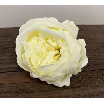 metr Mýdlový květ pivoňka krémová