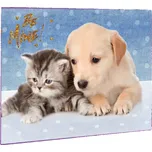 Karton P+P Podložka na stůl 60 x 40 cm