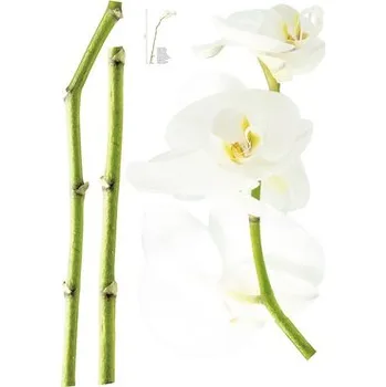 Samolepící dekorace Samolepka na zeď, motiv květiny, bílá