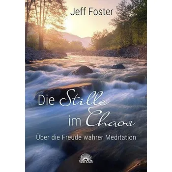 Osobní rozvoj Die Stille im Chaos - Foster, Jeff