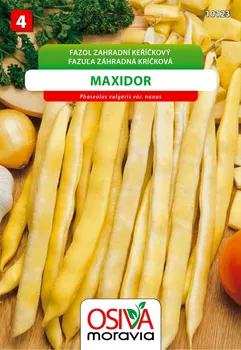 Semeno Osiva Moravia Maxidor fazol zahradní keříčkový 20 g