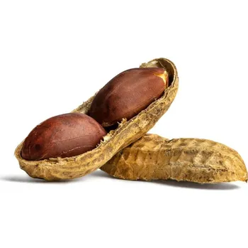 Arašídy neloupané pražené 500 g