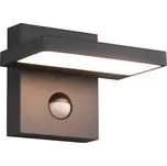 Trio Leuchten 226369142 HORTON - LED nástěnné venkovní svítidlo se senzorem pohybu, IP54, LED 8W, 3000K (Venkovní svítidlo na zeď v antracitové barvě s naklápěcím LED panelem a pohybovým senzorem)