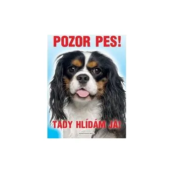 Grel nálepka pozor pes kavalír king černý