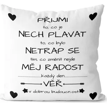 Dekorativní polštářek Polštářek Přijmi to, co je (Velikost: 40 x 40 cm)