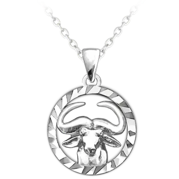 Módní doplněk Znamení Býk - stříbrný náhrdelník