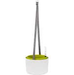 Plastia Berberis samozavlažovací…