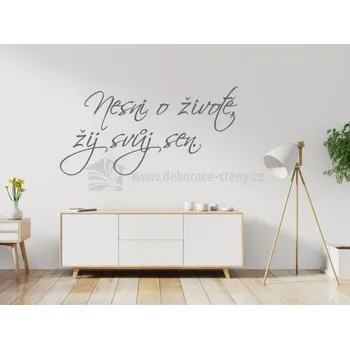 Samolepící dekorace Samolepky na zeď - Nesni o životě