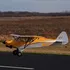 RC model letadla Hangar 9 Carbon Cub 15cc ARF