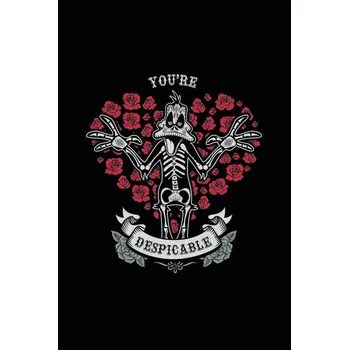 Plakát Plakát, Obraz - Kačer Daffy - You're despicable