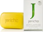 Jericho Antiseptic Sulphur Soap sírové…