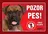 JUKO petfood Pozor pes! Zákaz vstupu!, německý boxer