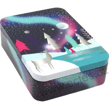 Dóza na potraviny POLARLIGHT plechová dóza 3500 polární záře a jelen v lese