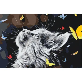 Malování podle čísel - Kotě mezi motýly Velikost: 40x60cm, Rámování: Pouze srolované plátno