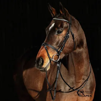 Uzdečka Horze -WESTON- - Černá - Shetty