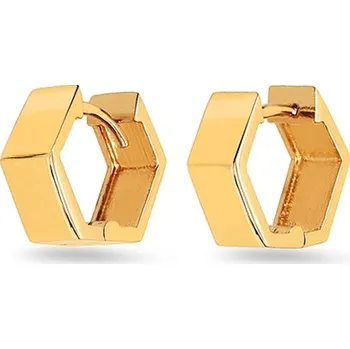 Náušnice iZlato IZ24566 Žluté zlato