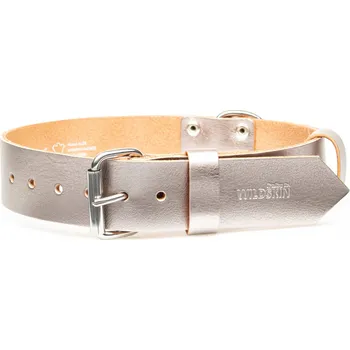 Obojek pro psa Kožený obojek stříbrný 40 mm - OBV.100165 SILV Velikost (obvod v cm): 50 - 60 cm