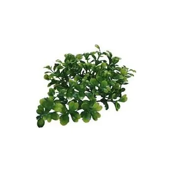 Dekorace do terária Lucky Reptile Turtle Plants Horn Fern cca 40 cm