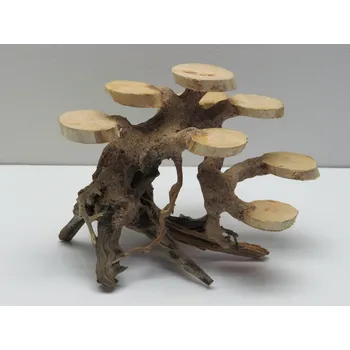 Akvaria.cz Bonsai target S (BT41275)