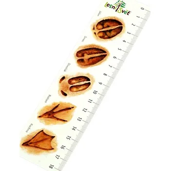 Zarážka na knihu Lesní svět Papírová záložka s měřítkem Stopy (Papírová záložka s měřítkem od českého výrobce Lesní svět. Ideální záložka do učebnice přírodopisu. Obrázky malují čeští ilustrátoři. Rozměry: (š) 19 cm × (v) 5 cm, 1str. potisk.)