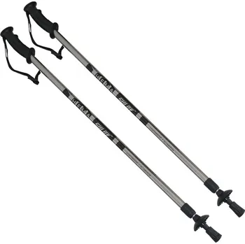 Trekingová hůl Trekingové hole Sulov Hema 2-dílné 1 pár - šedé