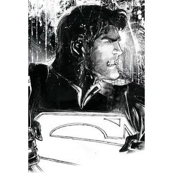 Plakát Plakát, Obraz - Superman - Tajná identita